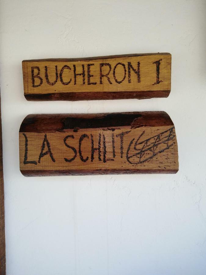 Le Gite Du Bucheron Dabo 外观 照片